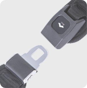 Lap Belt